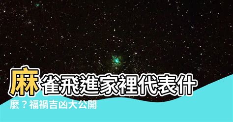 麻雀飛進家裡代表什麼|【麻雀飛進家裏代表什麼】麻雀飛進家裡代表什麼？福禍吉凶大公。